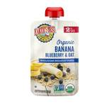 Earth's Best Organic Blueberry Banana Flax & Oat Baby Food Pouch - (Select Count)