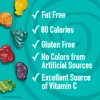 Betty Crocker Scooby Fruit Snack - 22ct - 4 of 4