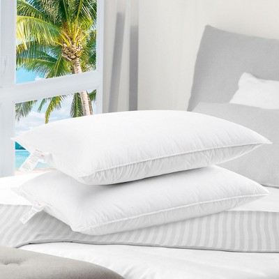 Cheer Collection Hypoallergenic Hollow Fiber Pillows - White, Standard (set  Of 2) : Target