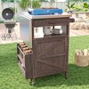 40.5" Outdoor Grill Cart with Stainless Steel Top, Rolling Buffet Serving Cart with Drop Leaf, Patio Kitchen Island Cart for Garden Poolside - 2 of 4