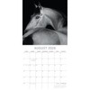 2026 Square Wall Calendar, Horse Portraits, 16-Month Black and White Photos Theme with 180 Reminder Stickers (12x12 In) - 3 of 4