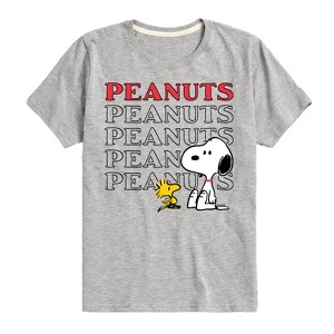 Boys' - Peanuts - Snoopy Woodstock Short Sleeve Graphic T-Shirt - 1 of 4