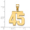 Black Bow Jewelry 14k Yellow Gold, Athletic Collection Medium Polished Number 45 Pendant - 2 of 3