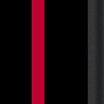 georgia bulldogs uga