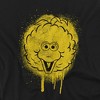 Boys' Sesame Street Big Bird Graffiti Spray Face T-Shirt - 2 of 4