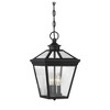 Savoy House Ellijay 3 - Light Pendant in  Black - 3 of 4