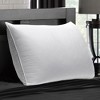 Ella Jayne Cotton Quilted Pillow, Medium Density (Set of 2) - 4 of 4
