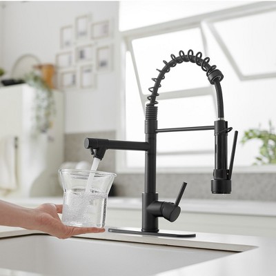 Matte Black High-Arc Kitchen Faucet with Pull-Out Spray