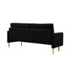 65'' Velvet Minimalist Loveseat Sofa with Metal Legs, Includes Cushions, Suitable for Living Room or Bedroom - 4 of 4