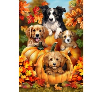 Briarwood Lane Fall Garden Flag 12x18 For Outdoor Fall Pumpkin Puppies For Fall Garden Flag Flags For Outside - 1 of 4