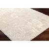 Hauteloom Edzia Beige Plush Area Rug - 2 of 4