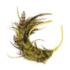 Unique Bargains Women's Fashion Feather Headband 1 Pc - 4 of 4
