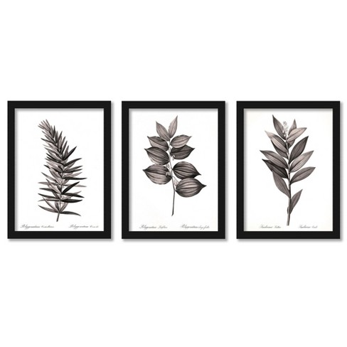 Americanflat 16 X 20 Walnut Matted Watercolor Rust By Pauline Stanley - 3  Piece Gallery Framed Print Art Set : Target