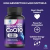 Co Q 10 Supplement - CoQ10 200mg Antioxidant, Heart Health Support & Energy Production - Coenzyme Q10 (Ubiquinone) Vitamins - 60 Softgels - 4 of 4
