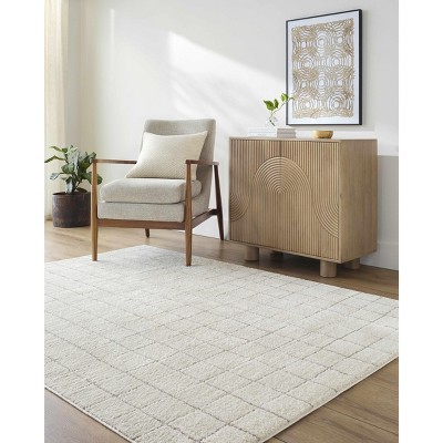 Hauteloom Cascade Checkered Ivory Area Rug | Our PNW Home X Livabliss