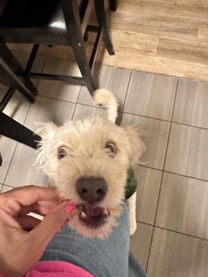 Guest review image 1 of 1, zoom in