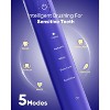MySmile DY156 Electric Toothbrush for Adults, 3 Brush Heads, One Charge for 60 Days - 3 of 4