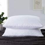 Peace Nest Bed Feather Pillow Set of 2