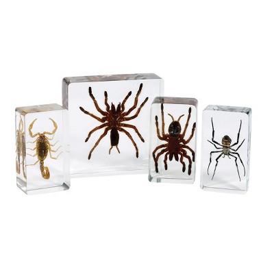 Kaplan Early Learning Scorpion and Spider Set  - Set of 4