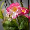 Sullivans Artificial Pink Blossom And Leaf Spray 32"H - 2 of 2
