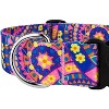 Country Brook Petz 1 1/2 Inch Deluxe Dog Collar - Groovy Collection - 4 of 4
