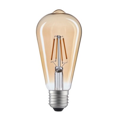 CWI Lighting,ST19 Warm White 2700K LED 4W Light Bulb (Set of 10)