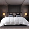 Continental Bedding Serenity 700 Fill Power White Goose Down Summer Weight Comforter - image 3 of 3