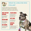 Country Brook Petz Deluxe Fashion Zebra Dog Collar - Made in the U.S.A. (1/2 Inch, Extra Small) - 4 of 4