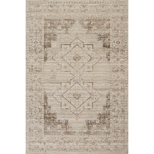 Nuloom Lolita Faded Machine Washable Indoor/Outdoor Area Rug - 1 of 4