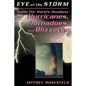 Eye of the Storm - by  Jeffrey P Rosenfeld & Jeffery Rosenfeld (Paperback) - 1 of 1