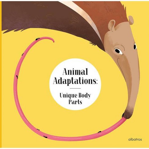 Animal Adaptations: Unique Body Parts - (can You Guess Who I Am?) By Radka  Piro (hardcover) : Target