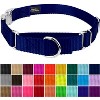 Country Brook Petz Heavyduty Nylon Martingale with Premium Buckle - 3 of 4