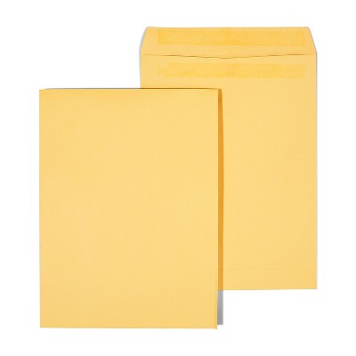 HITOUCH BUSINESS SERVICES Self Seal Catalog Envelopes 9"L x 12"H Brown 250/Box 486931/14245