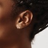 Chisel Stainless Steel Polished Rose IP-plated with Cubic Zirconia Crown Stud Earrings - 4 of 4