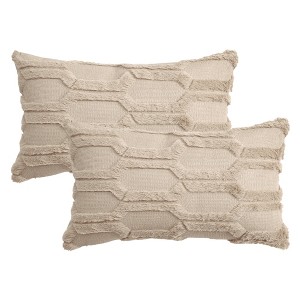 REGALWOVEN Solid Color Plush Soft Cozy Throw Pillow Covers for Sofa Home Decor 2 Pcs - 1 of 4