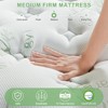 Itopfox Queen Size Medium Firm Memory Foam Hybrid Mattress with Pocket Springs for Pressure Relief, Motion Isolation & Cool Sleep - 2 of 4