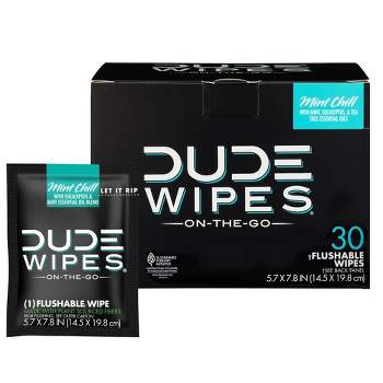 Dude Wipes Mint Chill On-The-Go Flushable Personal Wipes - 30ct