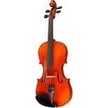 Ren Wei Shi Concert Model Violin Outfit outfit 4/4 size