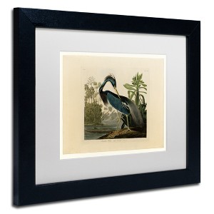 "Louisiana Heron" Outdoor Canvas - 1 of 3