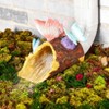 The Lakeside Collection Bird or Butterfly Down Spout Covers - 2 of 3