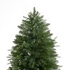 Home Imports Emporium Traditional Artificial Fir Christmas Prelit Tree with Lights, Green - 4 of 4