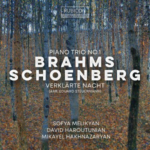 Sofia Melikyan - Brahms: Piano Trio No.1; Schoenberg: Verklarte Nacht (CD) - 1 of 1