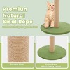 NAYSAYE 33" Cat Scratching Post, Cat Scratcher Tall Scratching Posts with Dangling Ball for Indoor Cats Decorative Play Toy, Green, 15.4"*15.4"*33.1" - 3 of 4