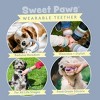 Sweet Paws Silicone Teether for Dogs and Cats - Glacier - 3 of 4