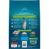 Purina ONE Indoor Advantage Adult Premium Turkey Flavor Dry Cat Food - image 2 of 4