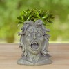 Darware Resin Medusa Head Planter, Garden Decor Statue Flower Pot - 2 of 4
