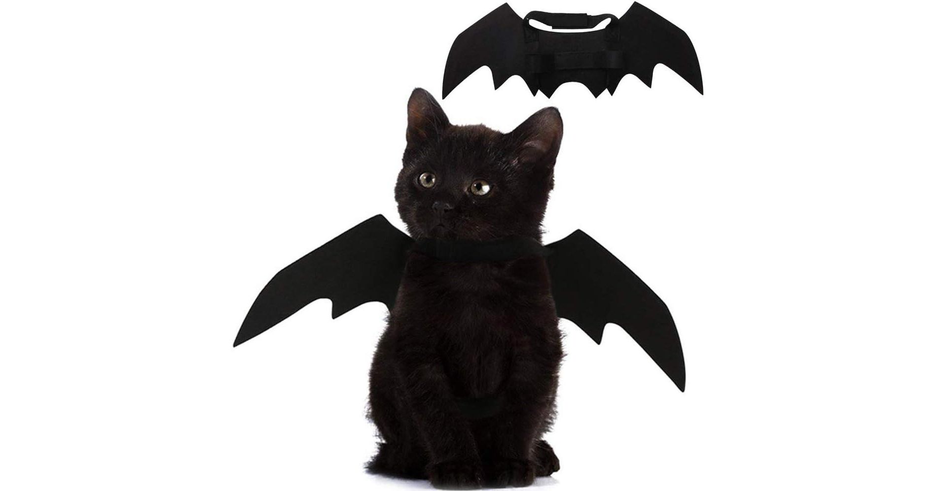 Pet Cat Bat Wings for Halloween Party Decoration, Puppy Collar Leads Cosplay Bat Costume,Cute Puppy Cat Dress Up Accessories