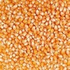 Grain Place Foods 2 lb Organic Yellow Popcorn Kernels Non-GMO - Pack of 3 - 3 of 4
