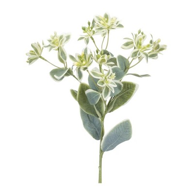Melrose Euphorbia Floral Stem (Set of 6)