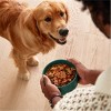 Jinx Grain-Free Dry Dog Food with Salmon, Sweet Potato & Carrot Flavor - 4 of 4